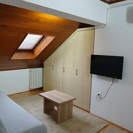 Vuk Apartment *