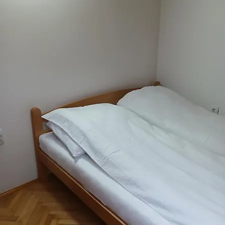 Vuk * Novi Sad