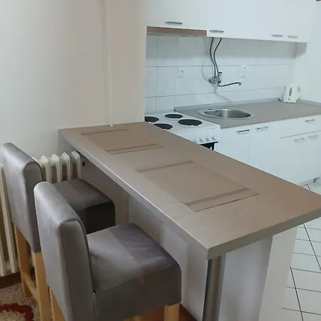 Vuk Apartment *